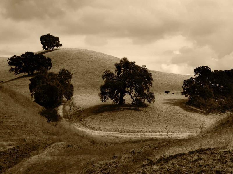 sudoku mental gym screenshot 2